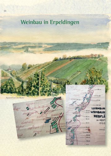 Weinbau in Erpeldingen - Bous.lu