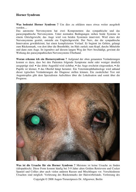 Horner Syndrom - Augen-Tierarztpraxis