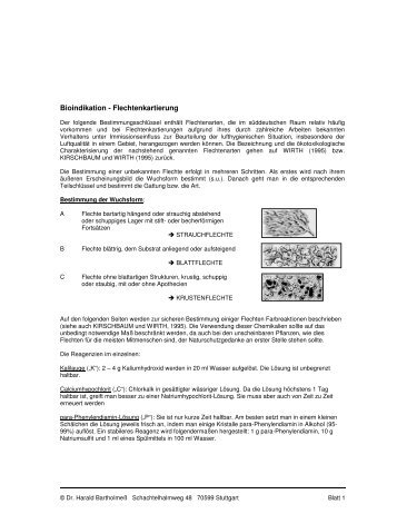 Bioindikation - Flechtenkartierung - Lokale Agenda Ludwigsburg