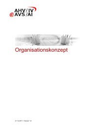 Organisationskonzept (PDF) - eAHV/IV