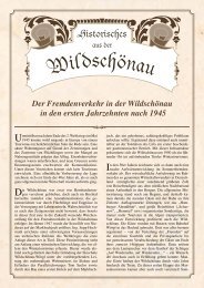 Die Anfänge des Fremdenverkehrs Teil 2 (140 KB) - .PDF