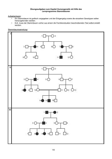 Übungsaufgaben zum Kapitel Humangenetik mit Hilfe des ...