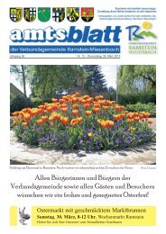 AMTSBLATT Nr. 13 vom 28.03.2013 - Ramstein-Miesenbach