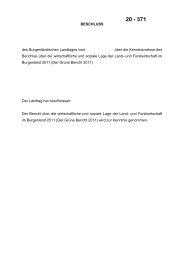 Zahl 20 - 371 - Burgenländischer Landtag