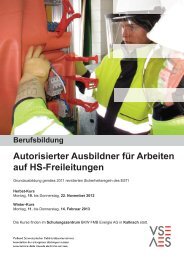 Autorisierter Ausbildner für Arbeiten auf HS-Freileitungen - VSE