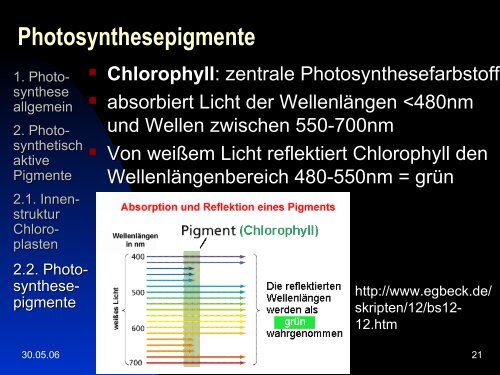 Photosynthetisch aktive Pigmente, ihre Bedeutung für ... - Ladamer