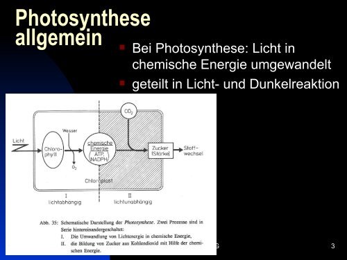 Photosynthetisch aktive Pigmente, ihre Bedeutung für ... - Ladamer