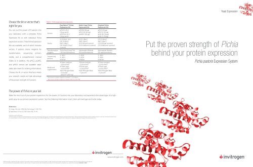 Put the proven strength of Pichia behind your protein expression