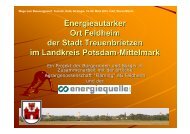 Michael Knape: Energieautarker Ort Feldheim. Wege zum ...