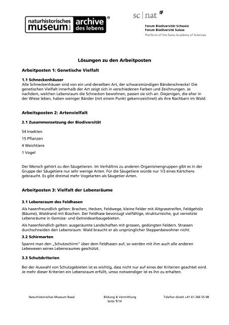 Losungen Zu Unterrichtsblatter Vielfalt Naturhistorisches Museum