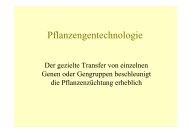 Pflanzengentechnologie