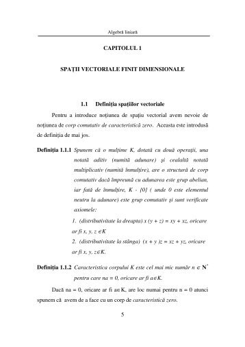 5 CAPITOLUL 1 SPAŢII VECTORIALE FINIT DIMENSIONALE 1.1 ...