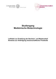 Leitfaden für Bachelor-/Masterarbeiten - Universität Rostock