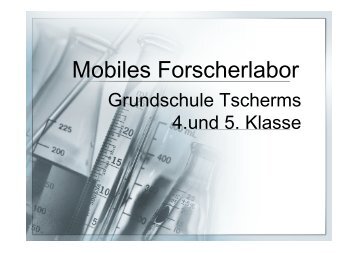 GS Tscherms