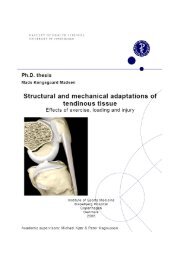 PREFACE AND ACKNOWLEDGEMENTS - ISMC