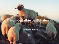 Homöopathie bei Schafen - Netzwerk Homöopathie Basel