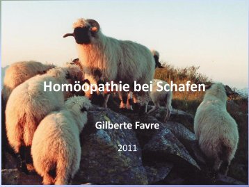 Homöopathie bei Schafen - Netzwerk Homöopathie Basel