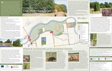 Infotafeln zur Hornbosteler Hutweide - Niedersächsischer ...