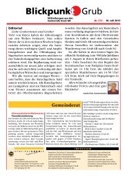 Ausgabe Juli 2013 - Gemeinde Grub
