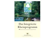 Das Integrierte Rheinprogramm. - Regierungspräsidium Freiburg