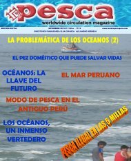 Archivos de artículos de pesca en Costa Rica - FECOP, articulos de pesca