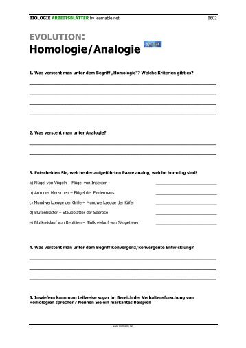 Homologie/Analogie - Learnable