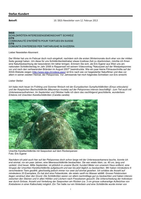 Newsletter in Deutsch - Schildkröten-Interessengemeinschaft Schweiz