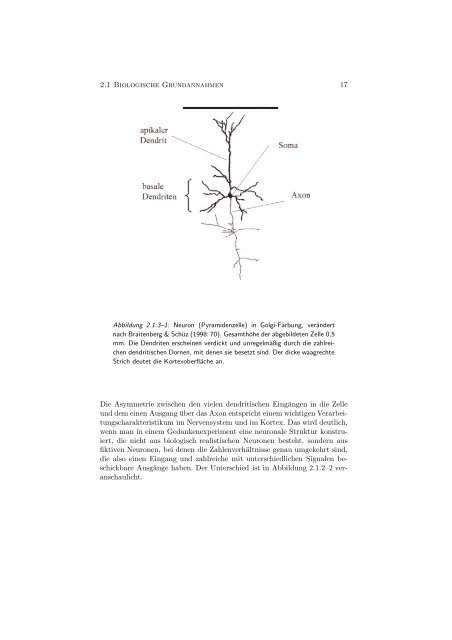 .RUWLNDOH /LQJXLVWLN - cortical linguistics