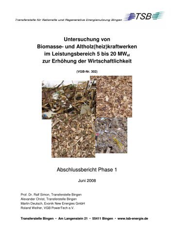 Untersuchung von Biomasse- und Altholz(heiz - Transferstelle für ...