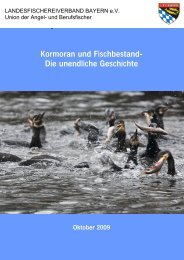 Kormoran und Fischbestand - Petri Heil