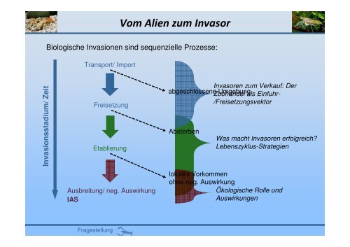 der Vortrag