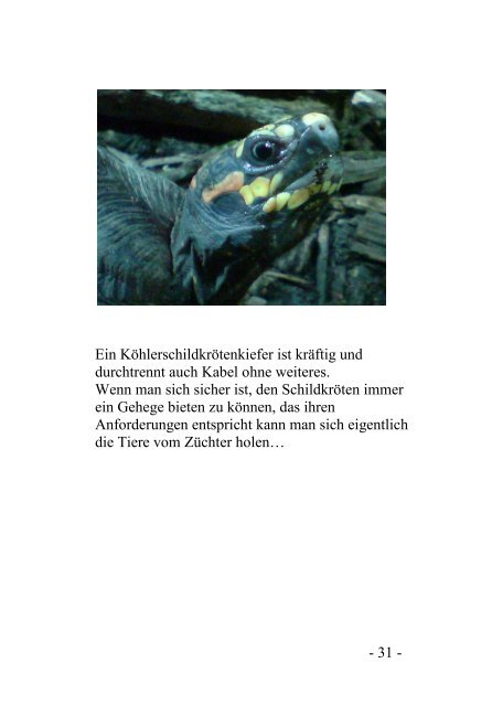 Im Revier meiner Köhlerschildkröten