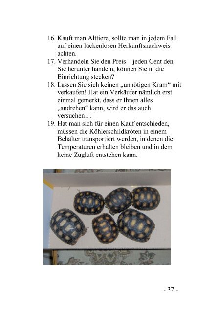 Im Revier meiner Köhlerschildkröten