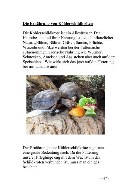 Im Revier meiner Köhlerschildkröten