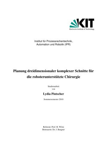 Planung dreidimensionaler komplexer Schnitte für ... - Lydia Pintscher