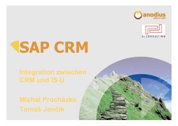 SAP CRM für die Versorgungswirtschaft - llconsulting.sk