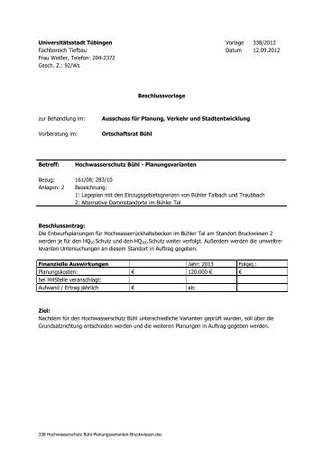 338 Hochwasserschutz Bühl-Planungsvarianten ... - in Tübingen