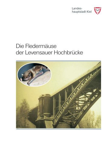 Die Fledermäuse der Levensauer Hochbrücke - Landeshauptstadt ...