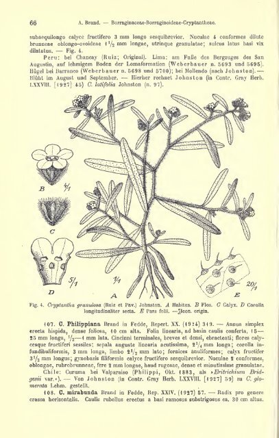 Das Pflanzenreich. Regni vegetabilis conspectus. Im Auftrage der ...