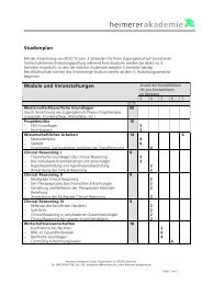 PDF-Studienplan - Heimerer Akademie