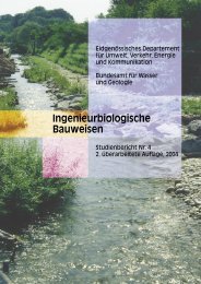 Ingenieurbiologische Bauweisen