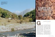 KAMPF UM DIE KNOLLE - UNTER HAIEN