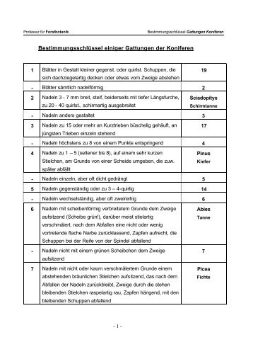 Bestimmungsschlüssel einiger Gattungen der Koniferen