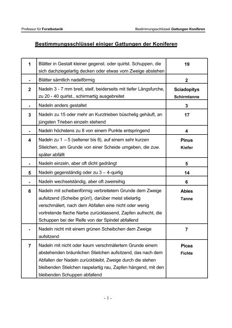 Bestimmungsschlüssel einiger Gattungen der Koniferen