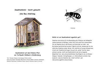 Insektenhotel – leicht gemacht eine Bau-Anleitung - wildland-bayern ...