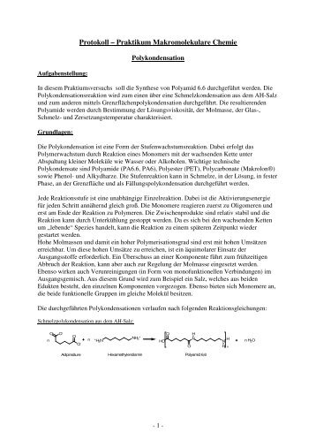 Protokoll – Praktikum Makromolekulare Chemie