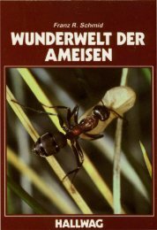 wunderwelt der ameisen 1985.pdf - franz r. schmid