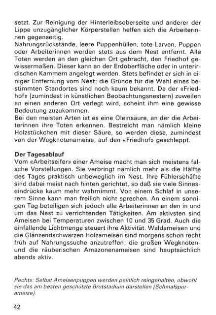wunderwelt der ameisen 1985.pdf - franz r. schmid