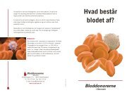Hvad består blodet af? - Bloddonorerne i Danmark