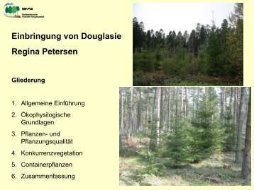 Einbringung von Douglasie - Nordwestdeutsche Forstliche ...